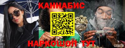 сатива Гатчина