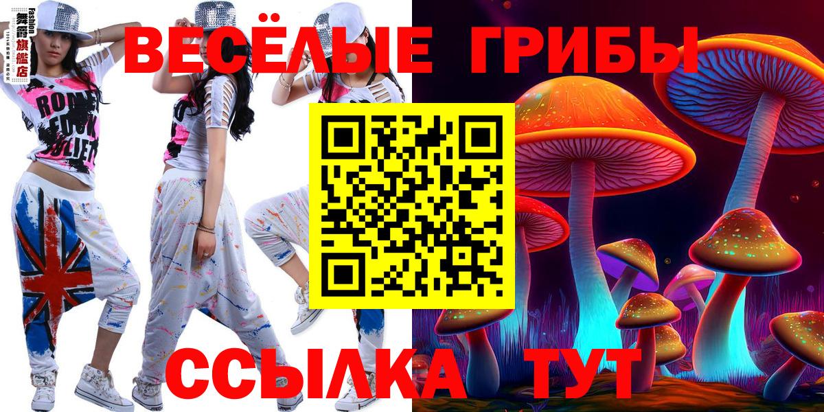 Галлюциногенные грибы мицелий Анжеро-Судженск