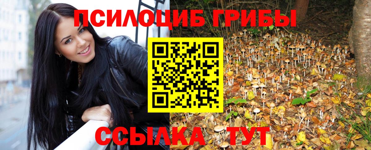 Псилоцибиновые грибы прущие грибы  Вход с VPN  Анжеро-Судженск 