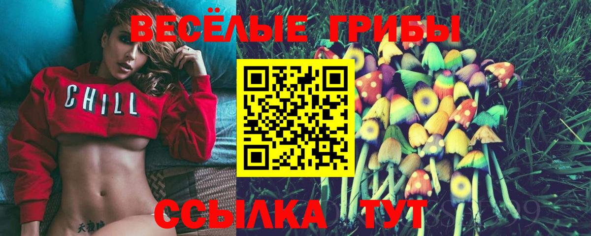 Галлюциногенные грибы Magic Shrooms Анжеро-Судженск