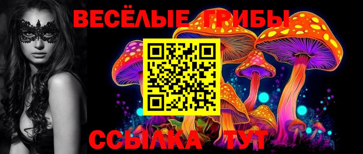Псилоцибиновые грибы MAGIC MUSHROOMS Анжеро-Судженск