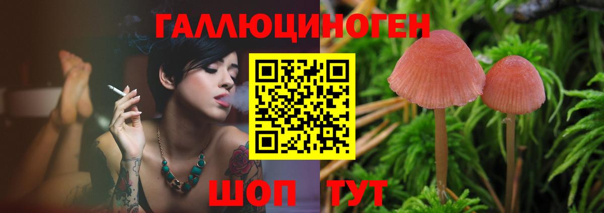 Псилоцибиновые грибы Psilocybine cubensis  Вход с VPN  Анжеро-Судженск 